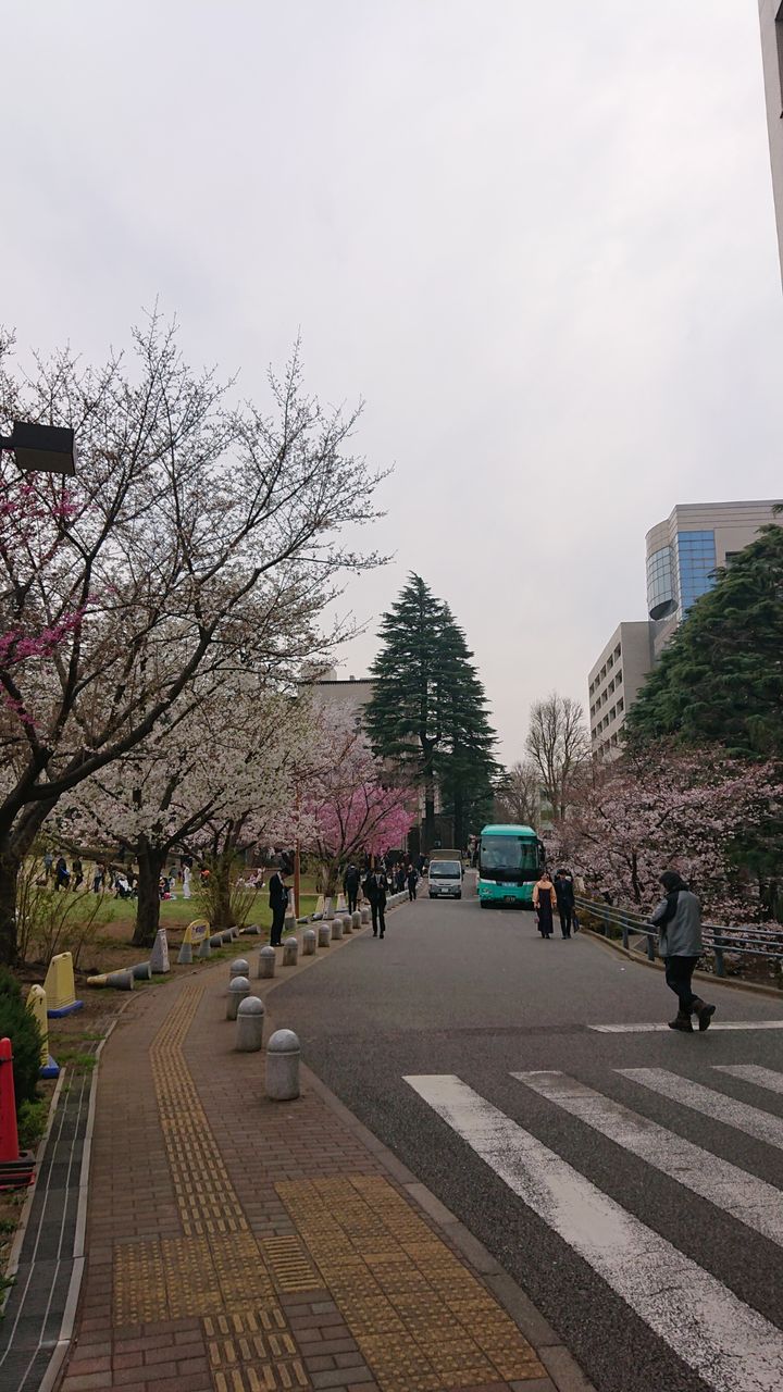 /news/old/2019-03-26-17-33-00/938e4527.jpg /news/old/2019-03-26-17-33-00/938e4527.jpg